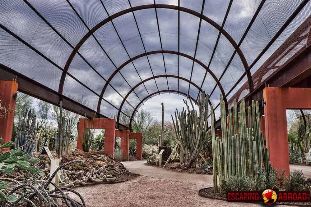 desert botanical gardens