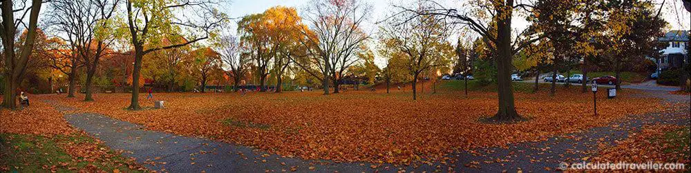 高公園多倫多