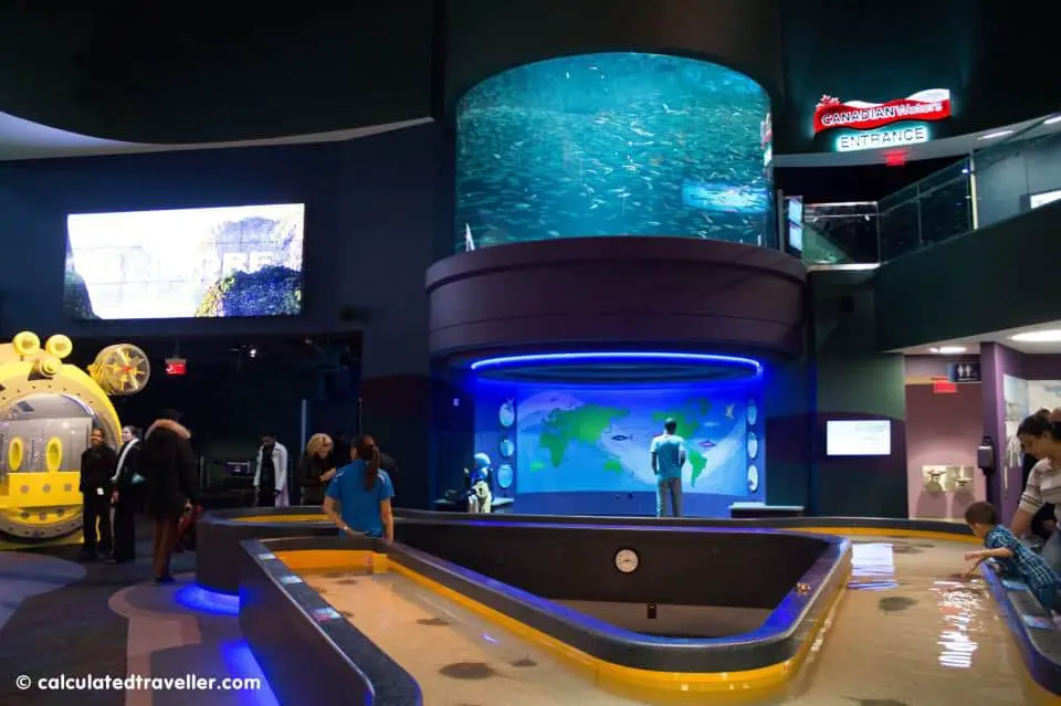 Perspectives Under the Sea: Ripley's Aquarium of Canada - IMG 1887 CT 960x639