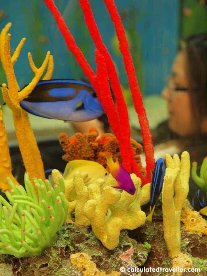 Ripley's Aquarium of Canada - Perspectives Under the Sea by Calculated Traveller