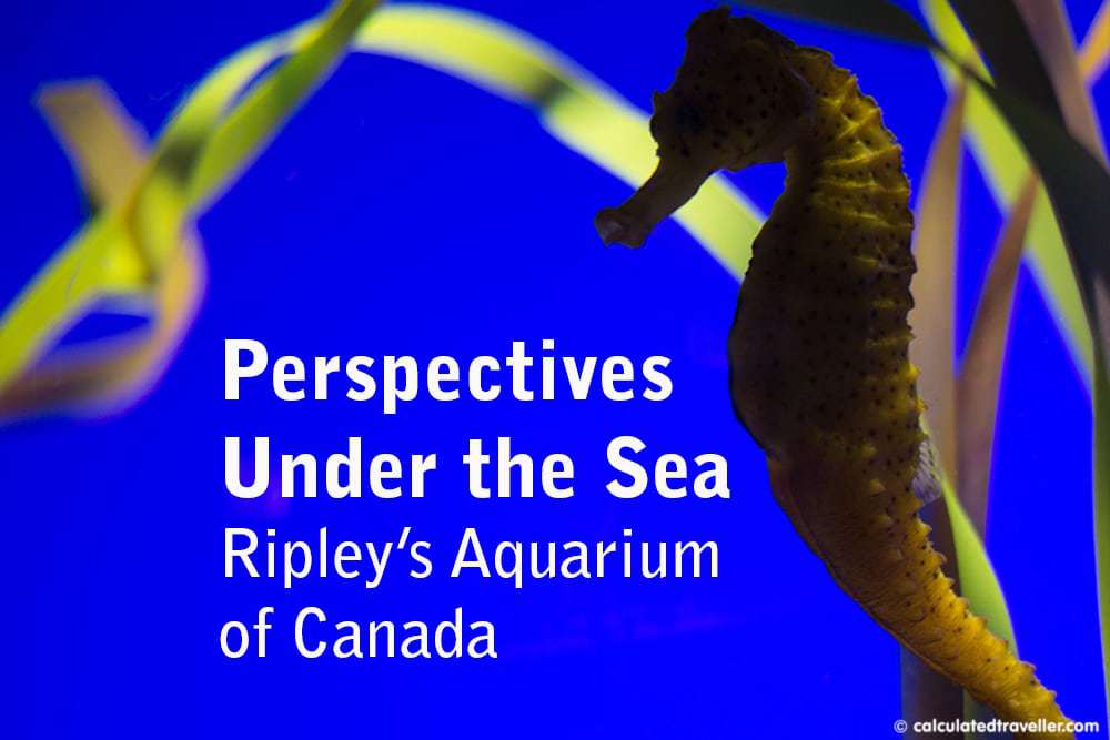 ripley's aquarium