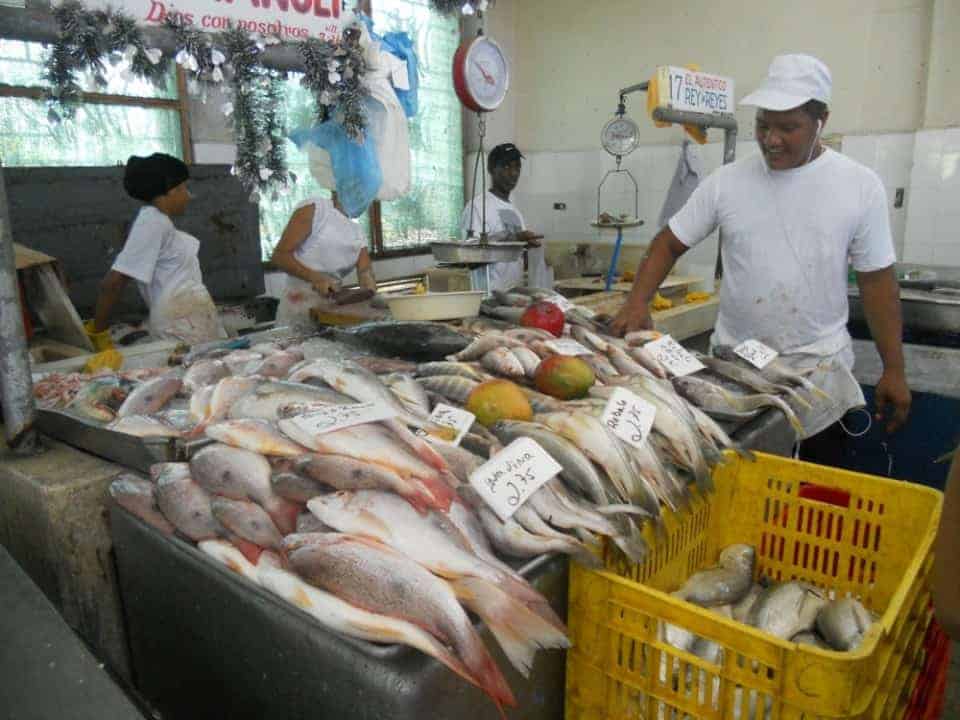 panama city fish market