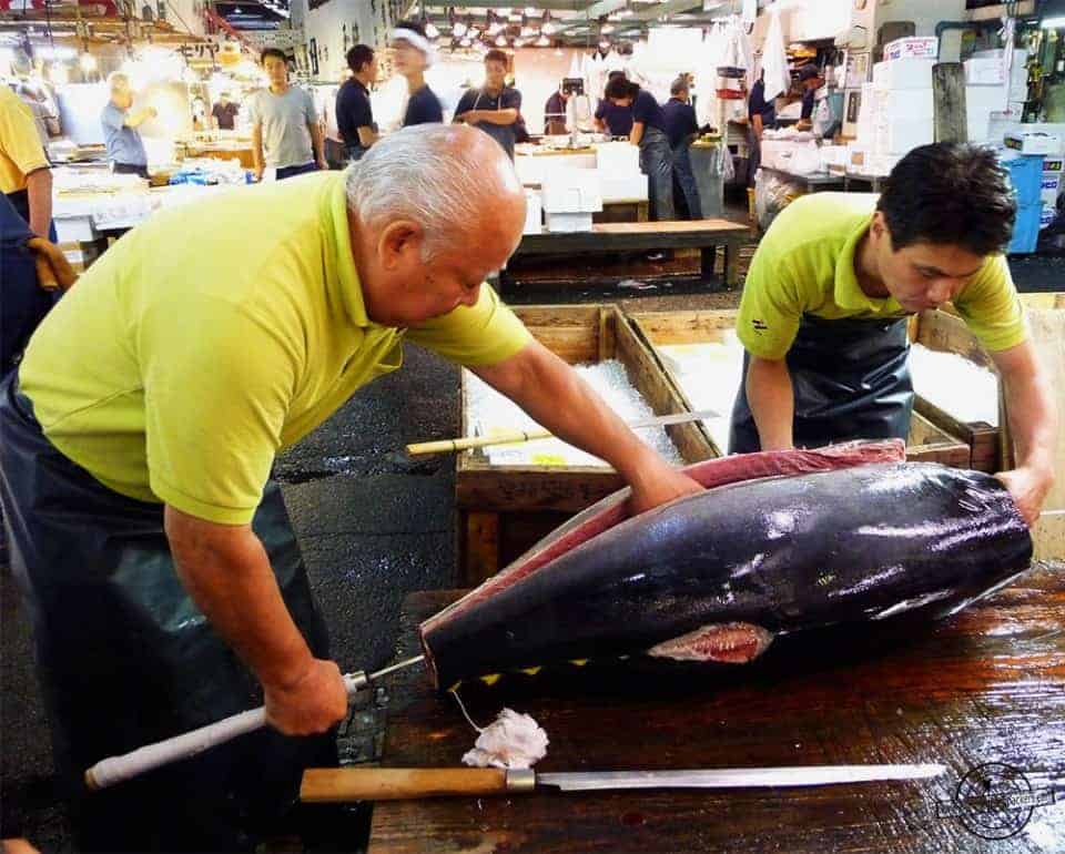 Tsukiji Fish Market