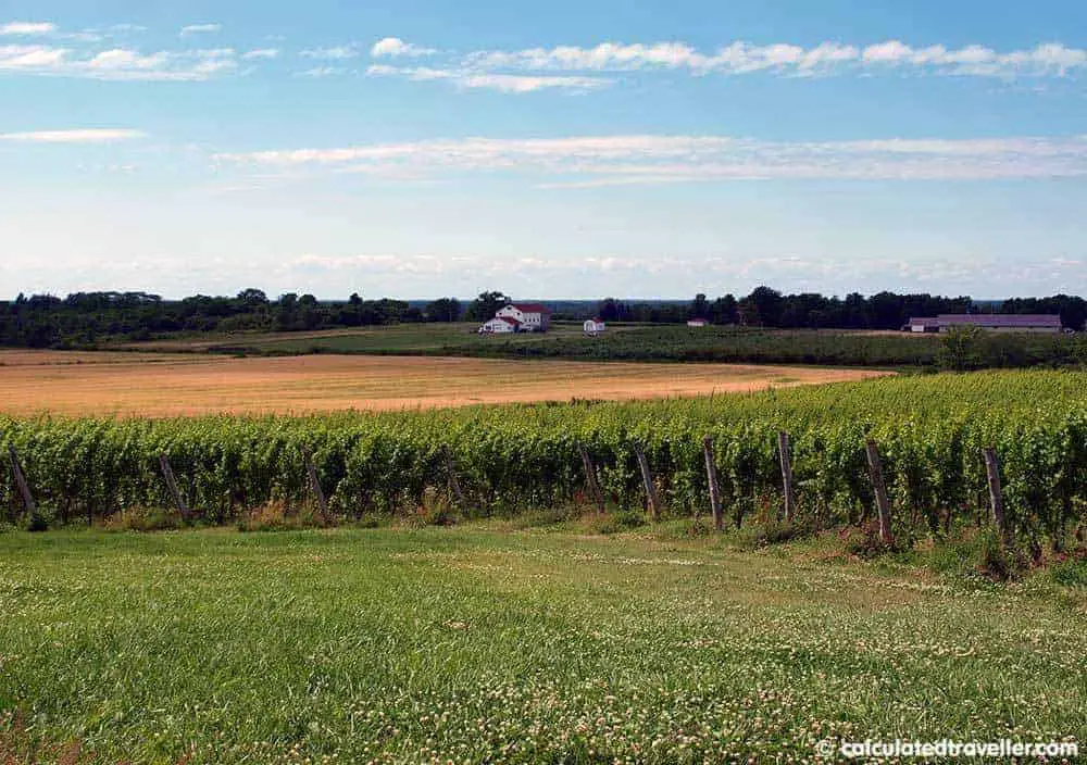 Arrowhead Springs Winery, Beer and Wine in Buffalo Niagara USA 計算旅行者
