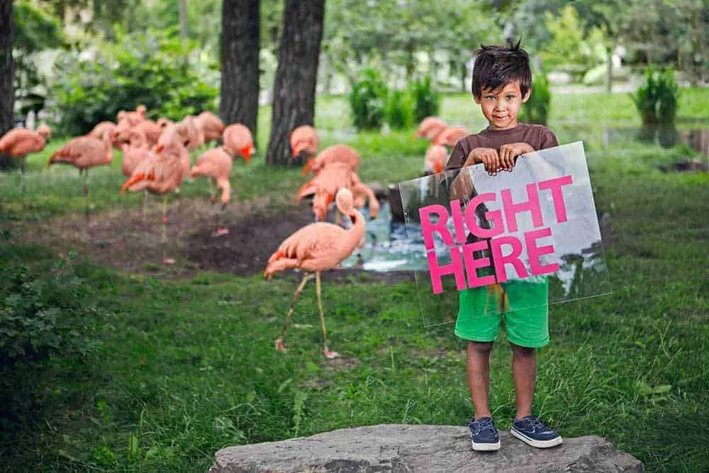 Calgary Zoo