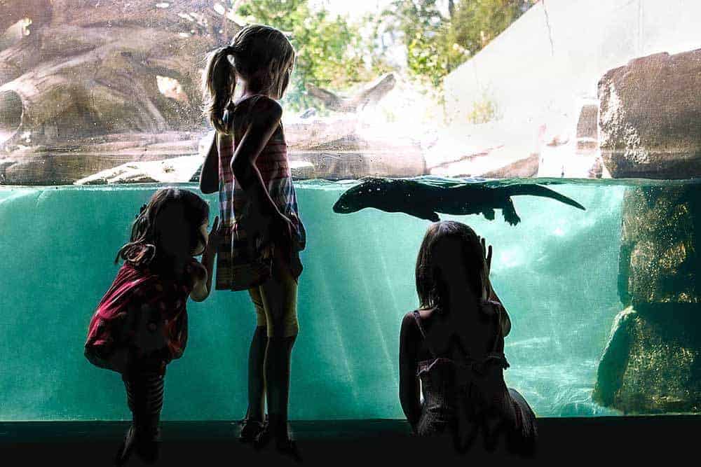 Zoo de Calgary
