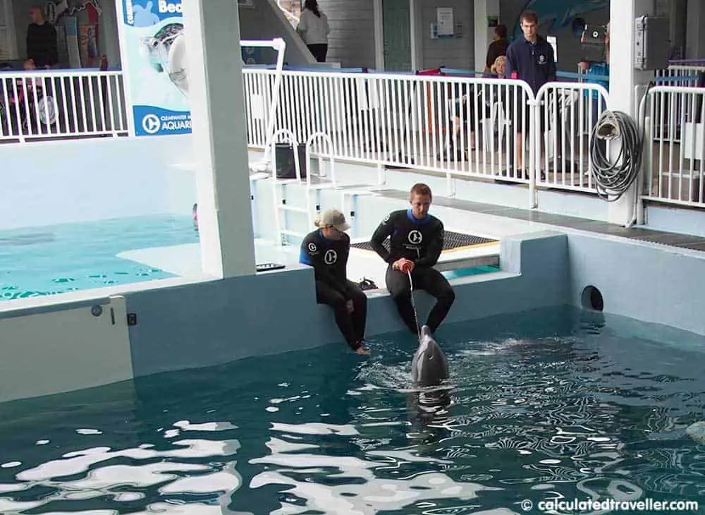 Winter and Hope at the Clearwater Marine Aquarium FL
