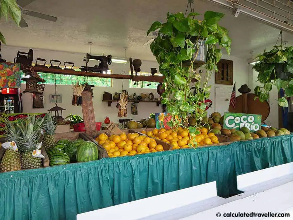 An Introduction to Little Havana Miami Florida