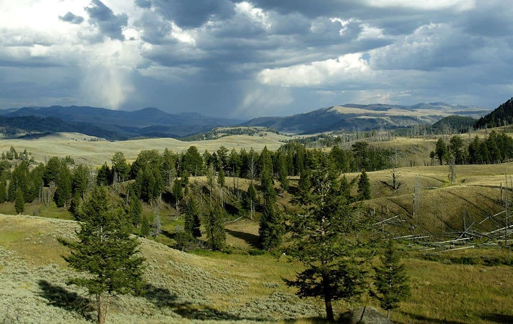 yellowstone national park