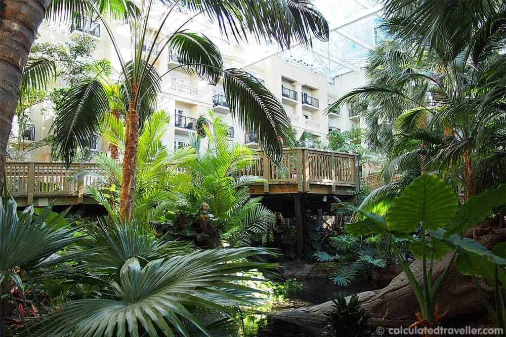 Review: Gaylord Palms Resort and Convention Center Orlando Florida