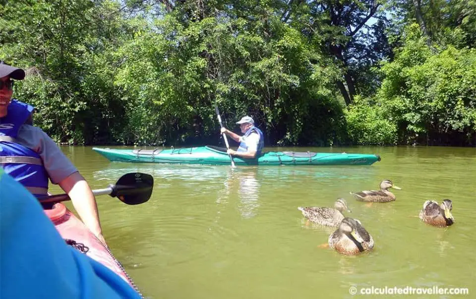 Ellicott Creek NY 皮划艇課程