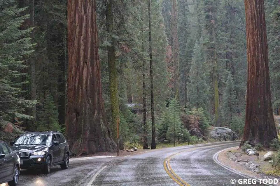 15 Tips for Exploring Sequoia National Park by Car
