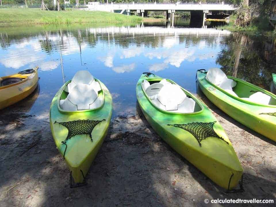 Kayaking Shingle Creek Kissimmee Florida