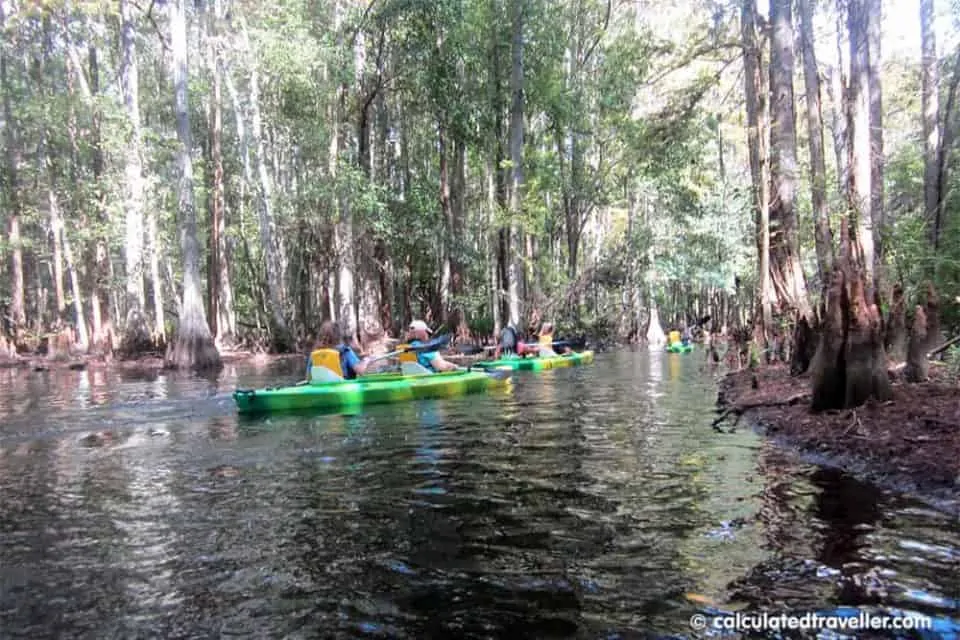 Shingle Creek Kayaking in Kissimmee Florida