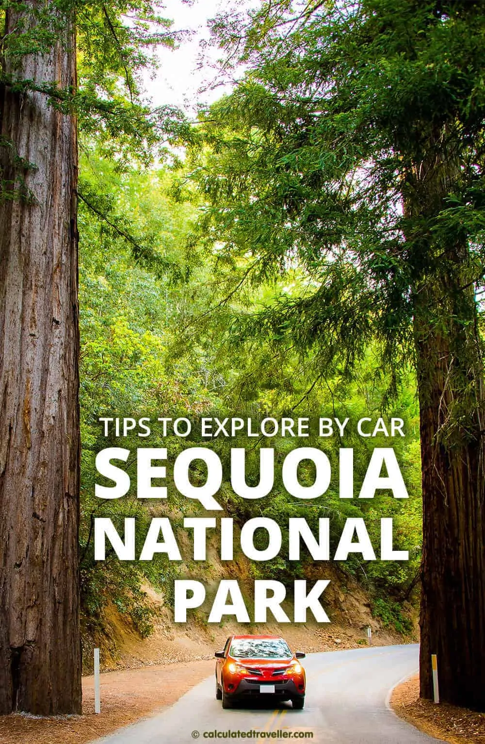 15 Tips for Exploring Sequoia National Park by Car - Calculated Traveller | #NationalPark #USA #Sequoia #road #trip #car