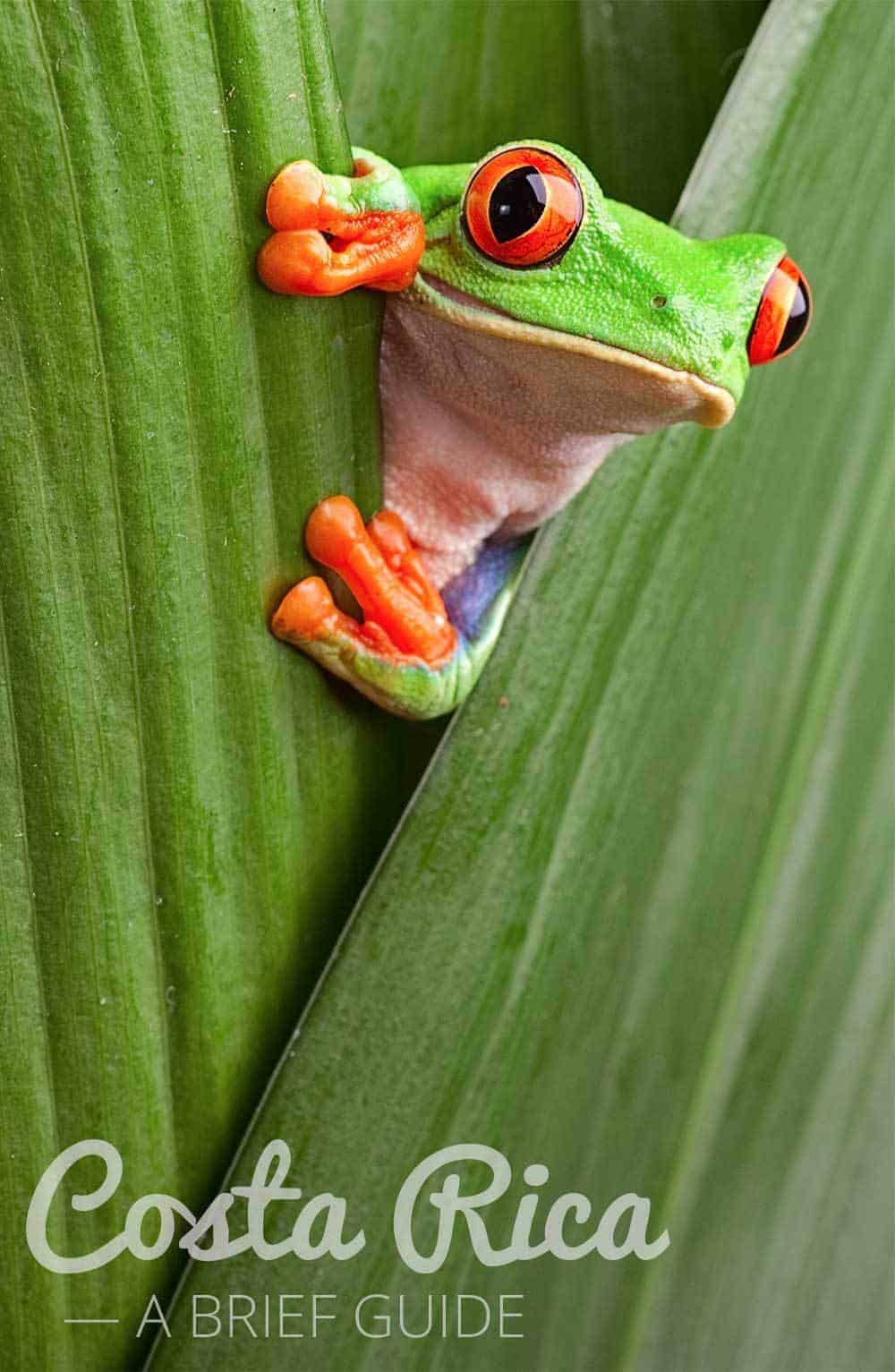 A Brief Guide to Costa Rica by Calculated Traveller