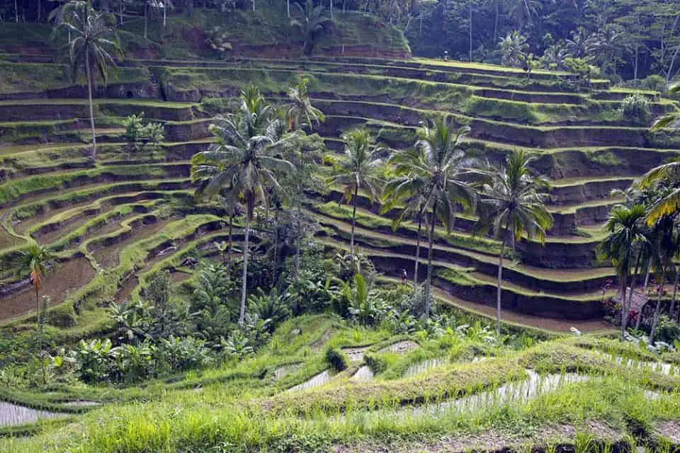 My Ultimate Indonesian Bucket List Adventure