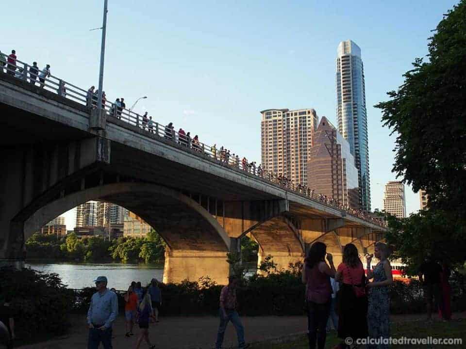 A Date with the Bats of Austin Texas