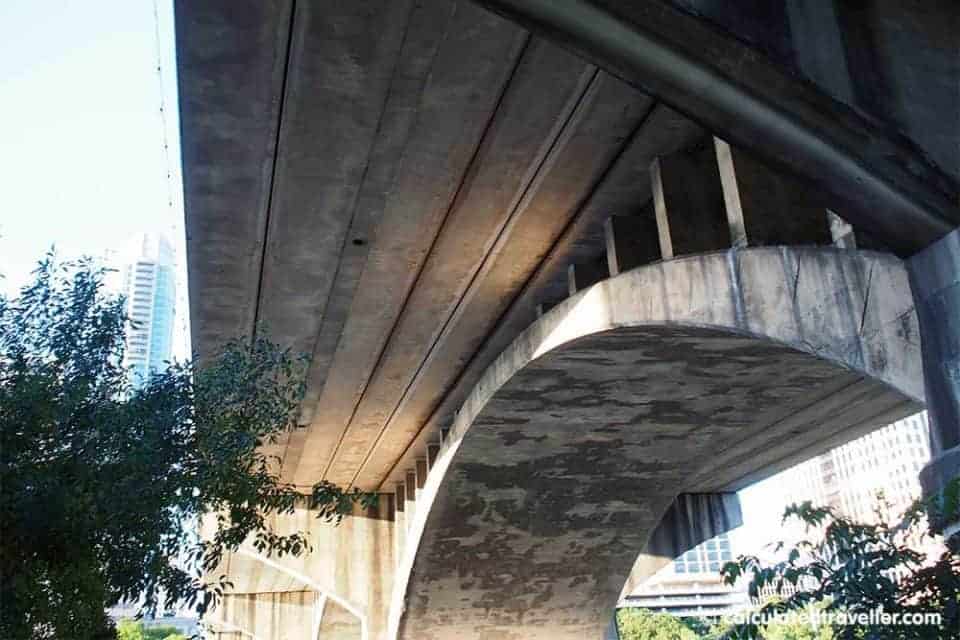 A Date with the Bats of Austin Texas