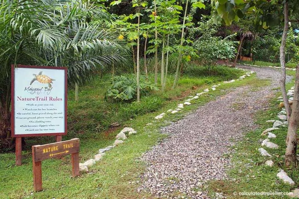 A Cruise Guide to Mahogany Bay Roatan Honduras - Nature Trail