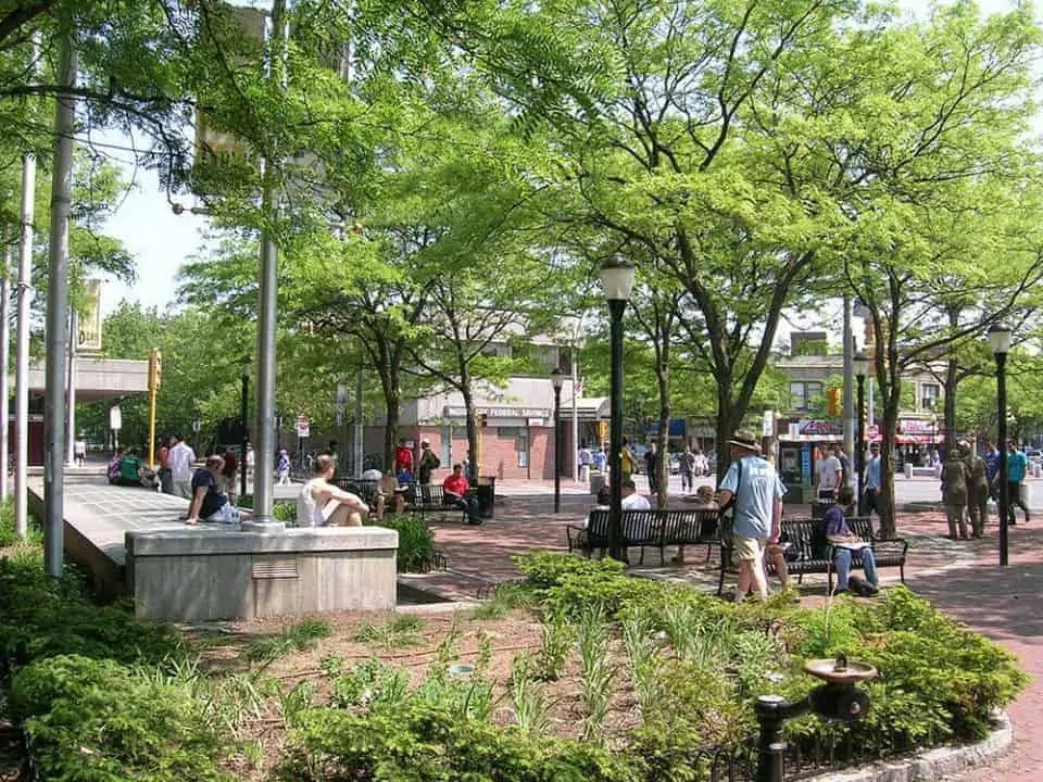 How to Spend a Long Weekend in Cambridge - Davis Square