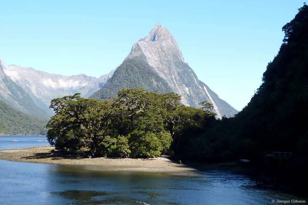 5 Great Walks in New Zealand to Enjoy - Milford Track