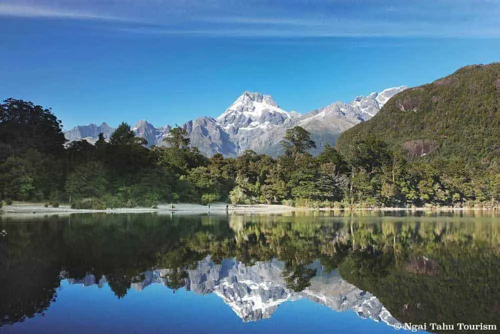 Day Hikes in New Zealand to Enjoy - Hollyford Track