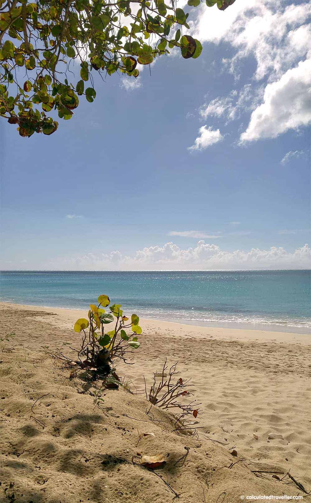 One Pristine Day at Turners Beach in Antigua. A how to guide for quiet on the beach. #beach #Antigua #Caribbean #cruise