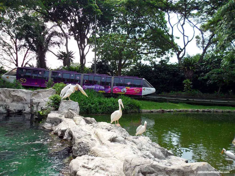 Family-Friendly Animal Fun in Singapore - Jurong Bird Park Monorail