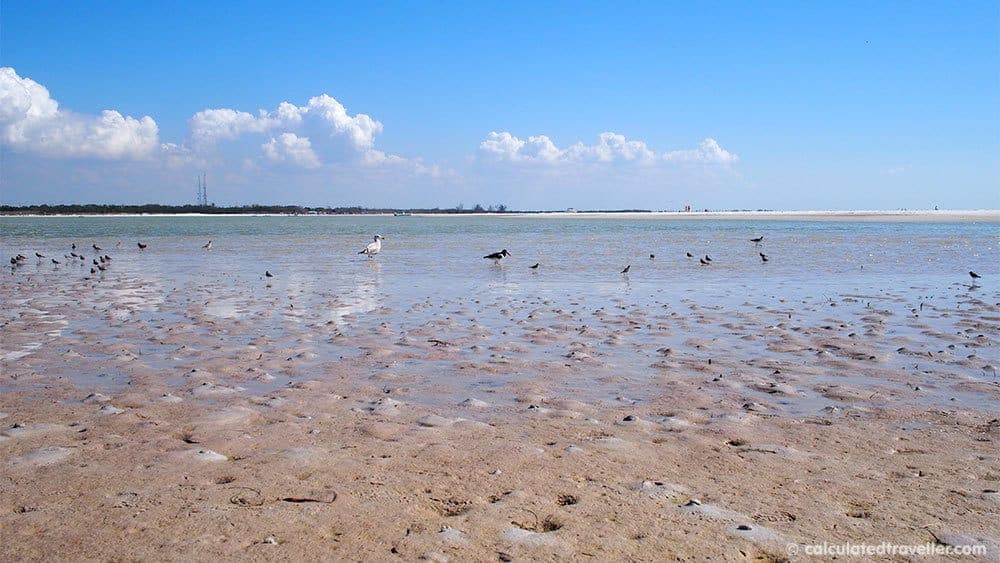 Fun in the Sun on St. Pete Beach Florida at Sirata Beach Resort - Shell Island Excursion