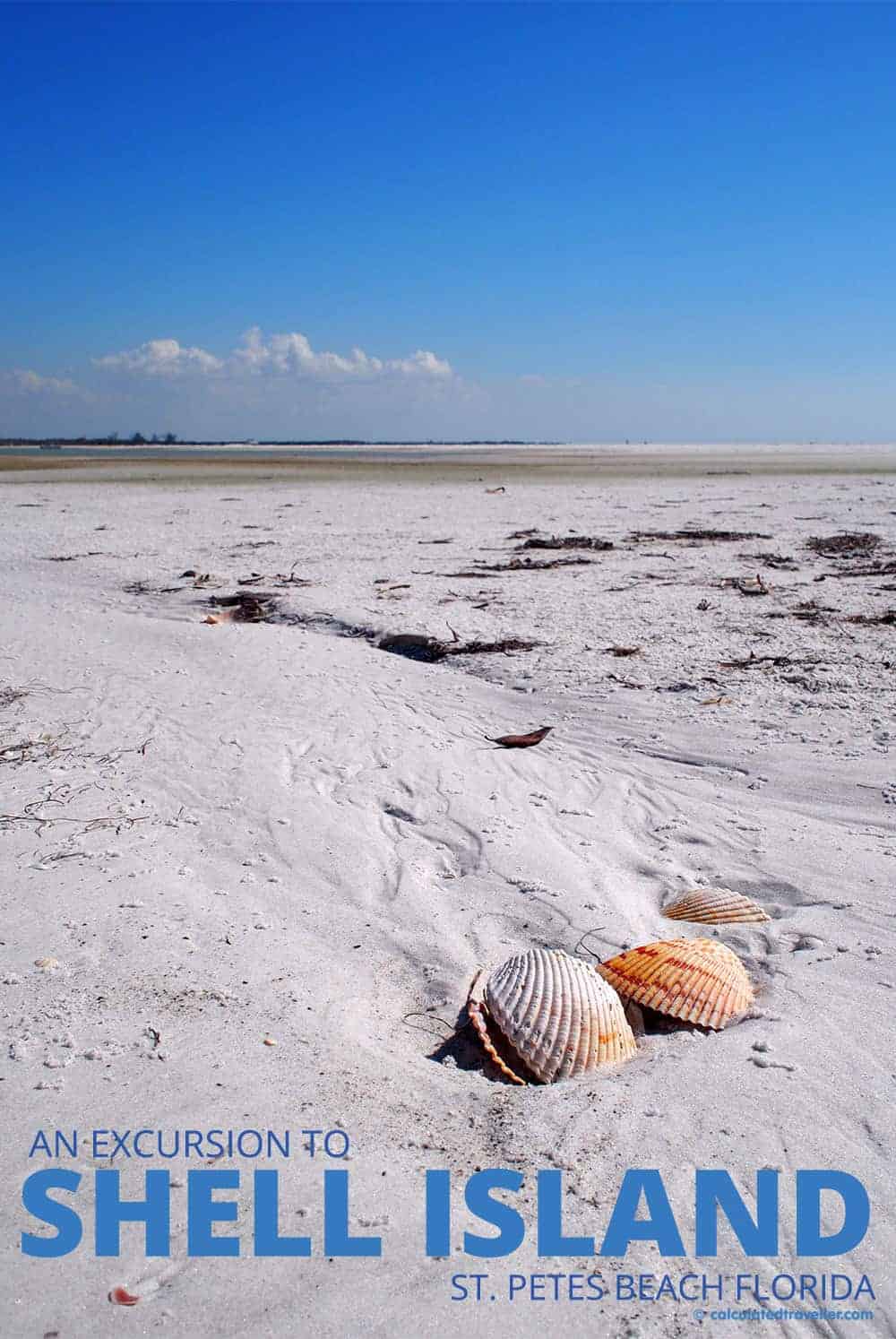 Fun in the Sun on St. Pete Beach Florida at Sirata Beach Resort - Shell Island Excursion | Travel | Shell | Florida | Beach | St Pete Beach