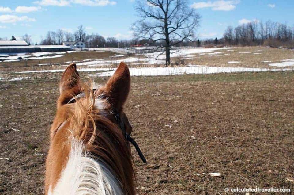 Horseback Riding with Painted Bar Stables at Watkins Glen NY - Trail riding Burdette New York