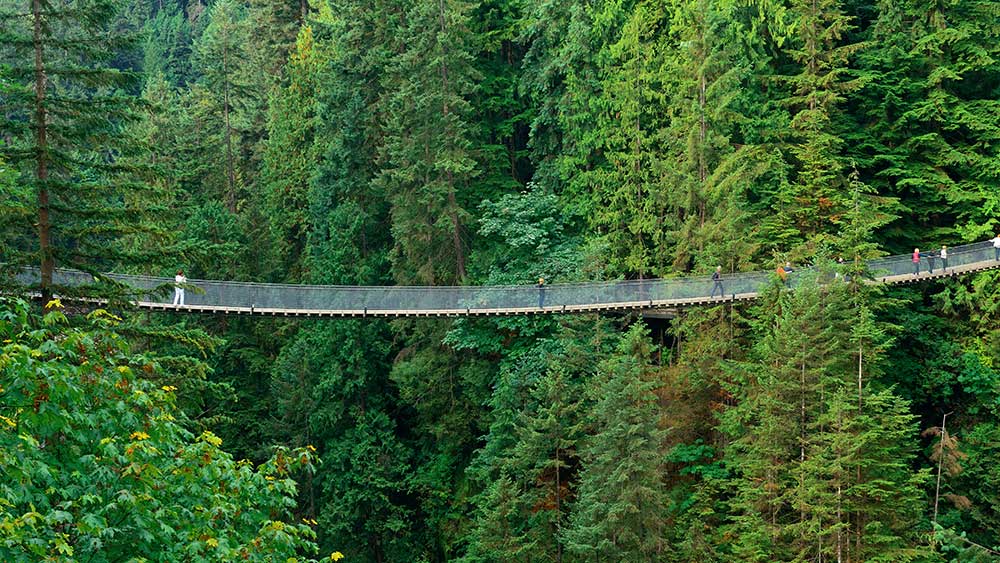 Capilano Suspension Bridge wide
