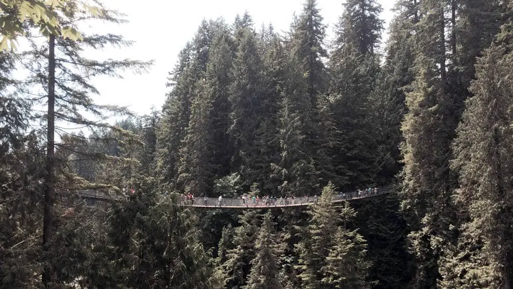 capilano suspension bridge from a distance