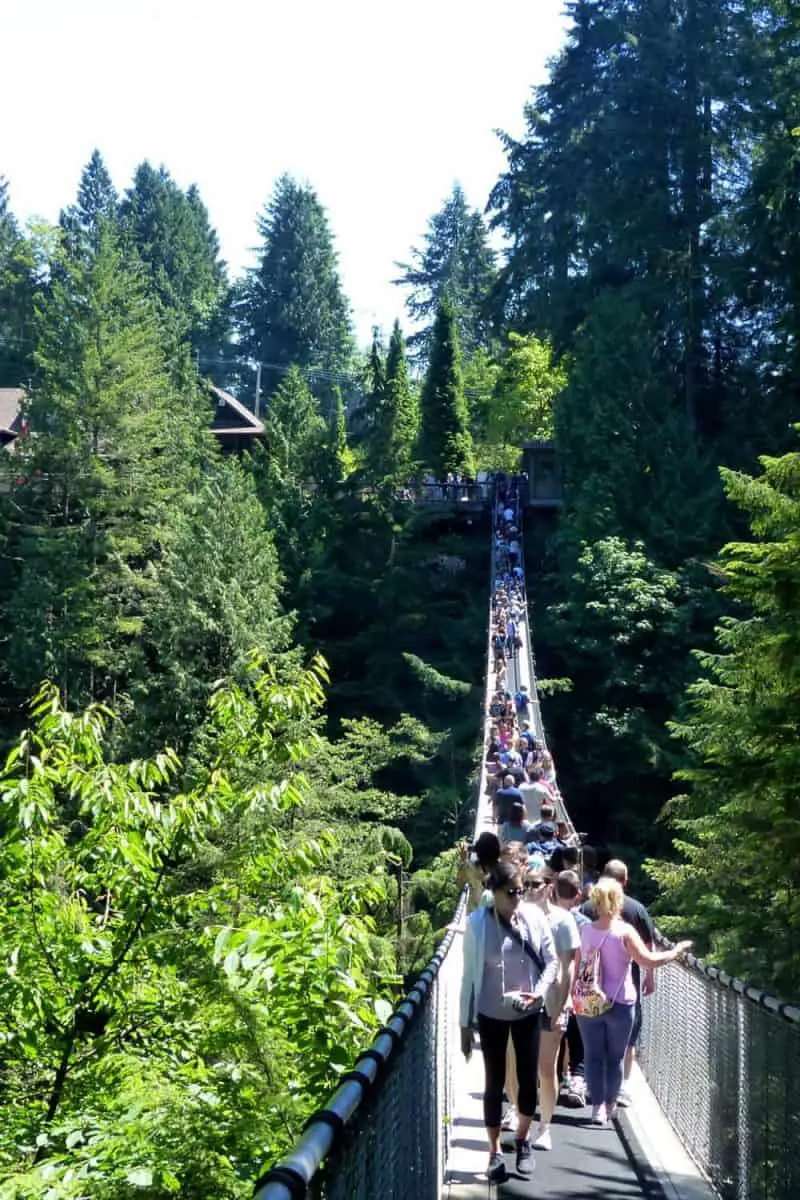 people on the capilano suspension bridge