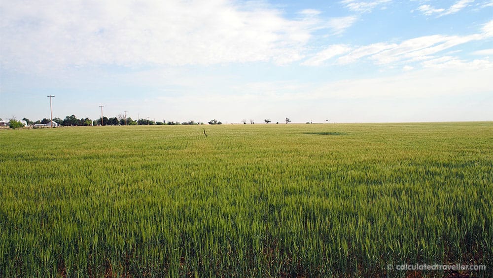 Green farmland field in Amarillo Texas