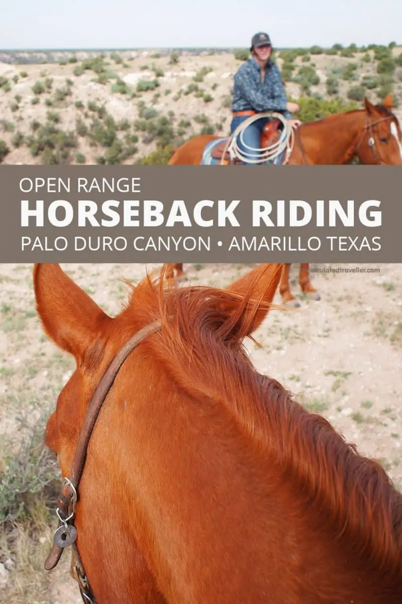 American Quarter Horse at Palo Duro Canyon