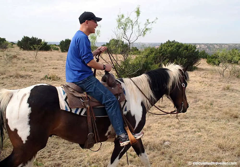 Calculated Traveller Ray horseback riding