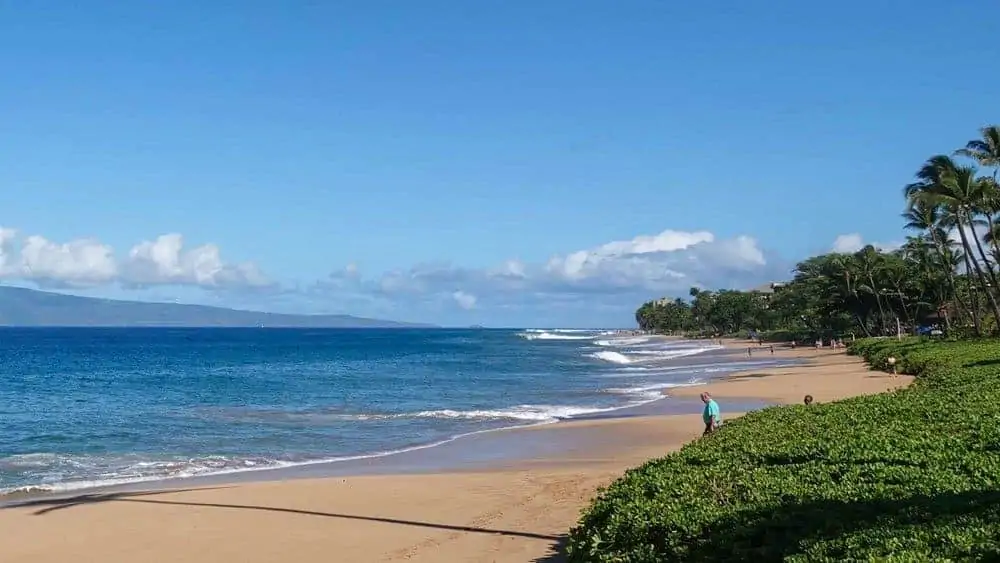 Royal Lahaina Beach front