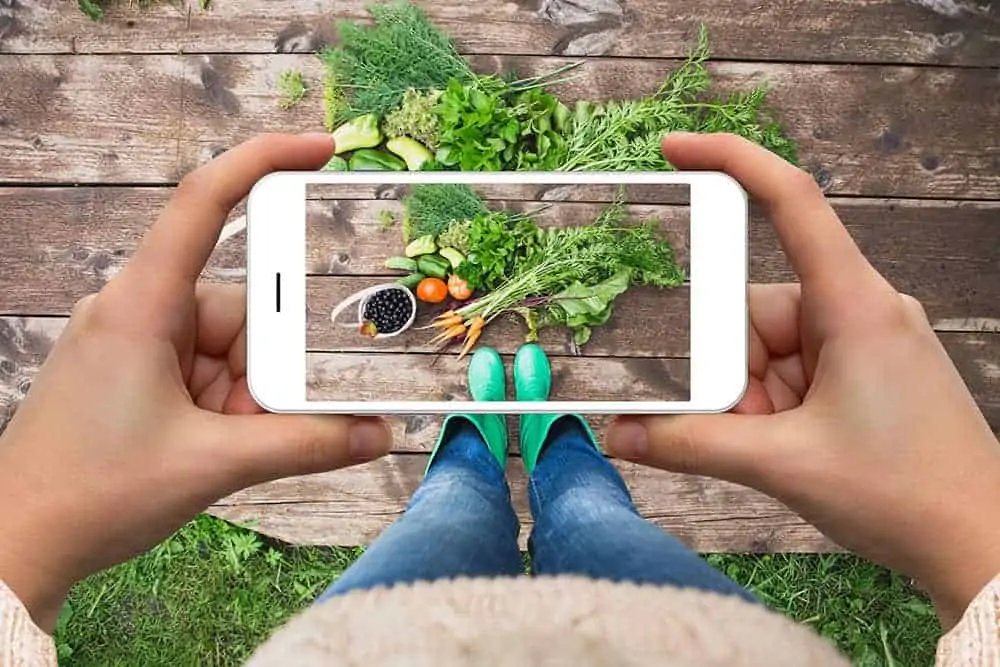 cell phone showing flat lay technique