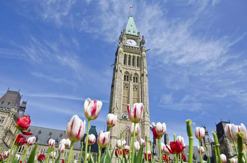Ottawa Tulip Festival
