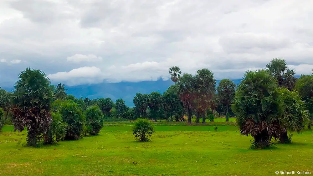 Palakkad India: Glimpsing Divinity in the South Indian State of Kerala