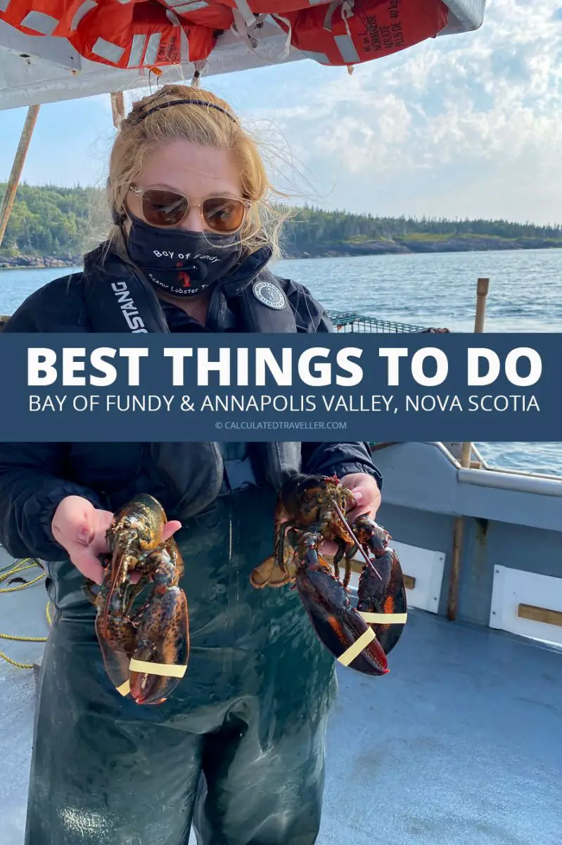 Meilleures choses à faire dans la baie de Fundy et la vallée de l'Annapolis en Nouvelle-Écosse