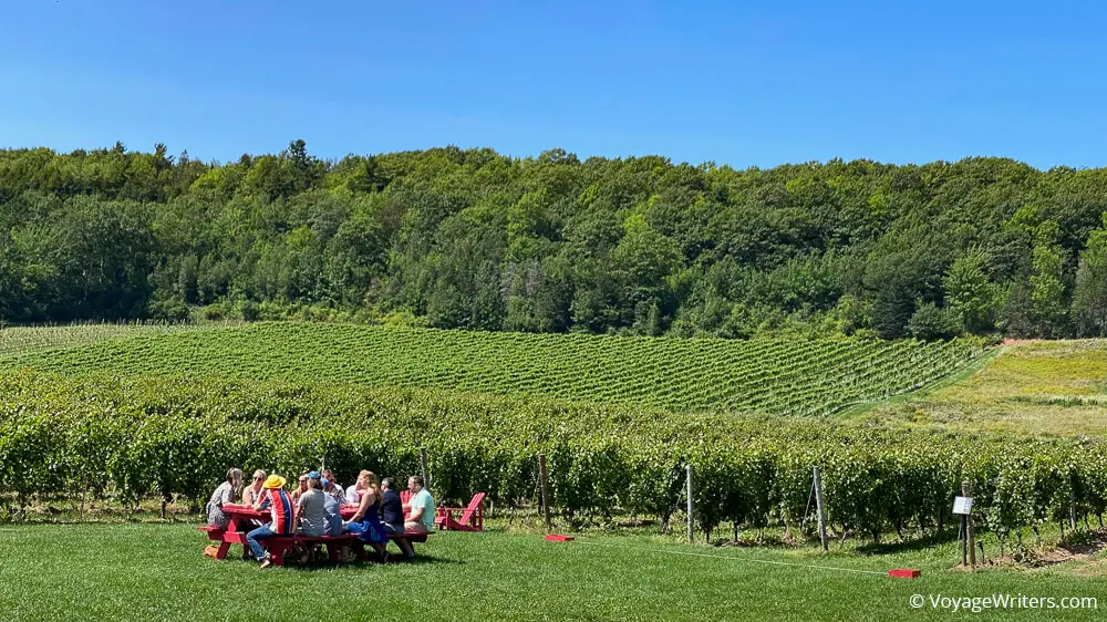 Gaspereau Vineyards Nova Scotia