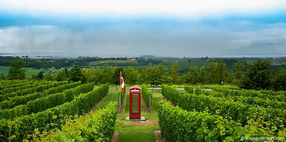 Luckett Vineyards Nova Scotia