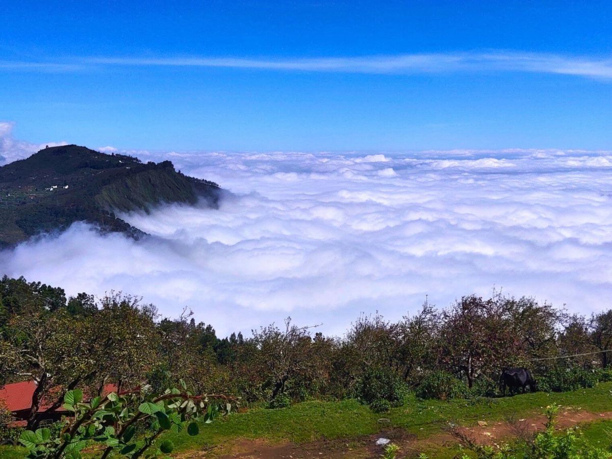 Vattakanal Viewpoint Kodaikanal India