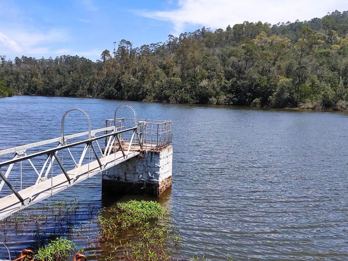 Berijam Lake Kodaikanal India