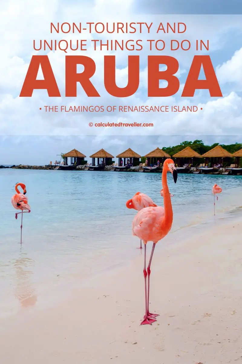 Flamants roses sur l'île Renaissance à Aruba