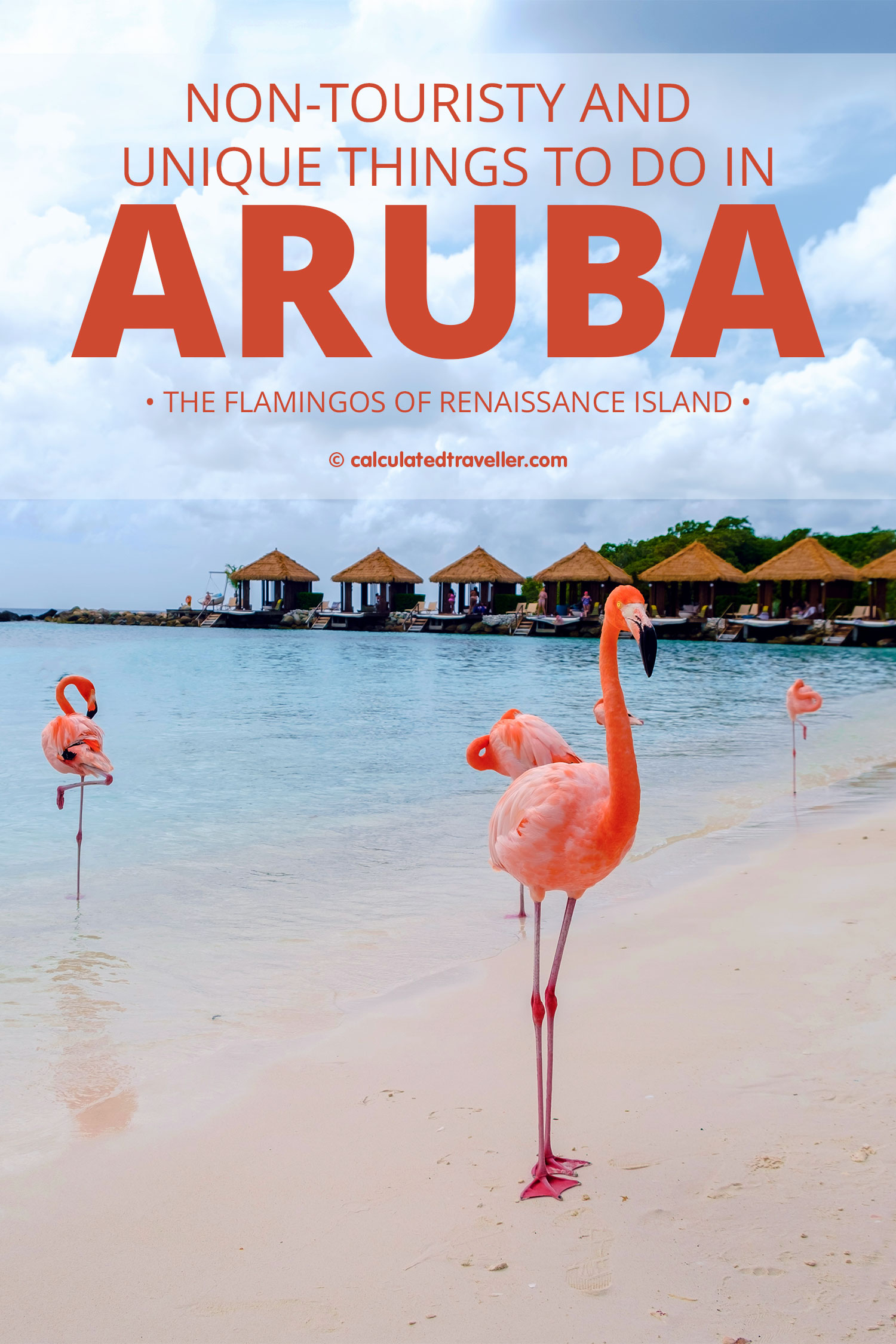 24 Non Touristy And Unique Things To Do In Aruba 24 Non Touristy And Unique Things To Do In Aruba