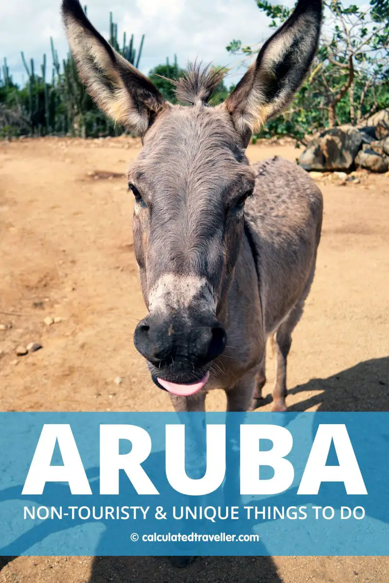 Sanctuaire des ânes à Aruba